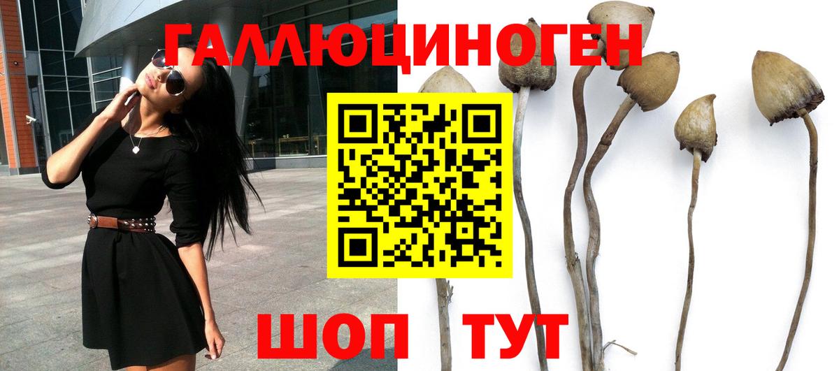 Галлюциногенные грибы Psilocybe  Вход с VPN  Алушта 